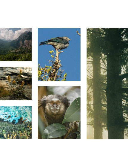 FIGGI MAGAZINE - NATURE & TRAVEL APRIL (Vol 2100), page 2