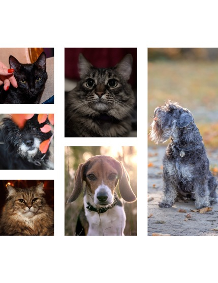 FIGGI MAGAZINE - MEN DECEMBER (Vol 1907), page 2