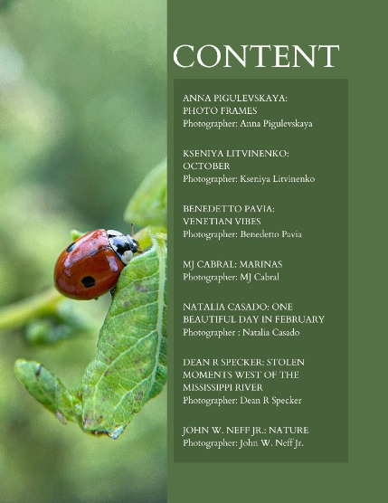 Bold & Beyond Nature (Issue 787 February 2026), page 2