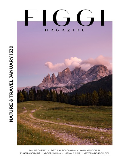 FIGGI MAGAZINE - NATURE & TRAVEL JANUARY (Vol 1339), page 1