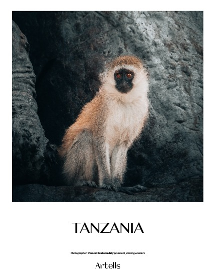 ARTELLS MAGAZINE - NATURE & TRAVELS JULY (Vol 3371), page 4