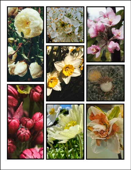 ARTEGO MAGAZINE - NATURE & TRAVELS JUNE ISSUE 870, page 3