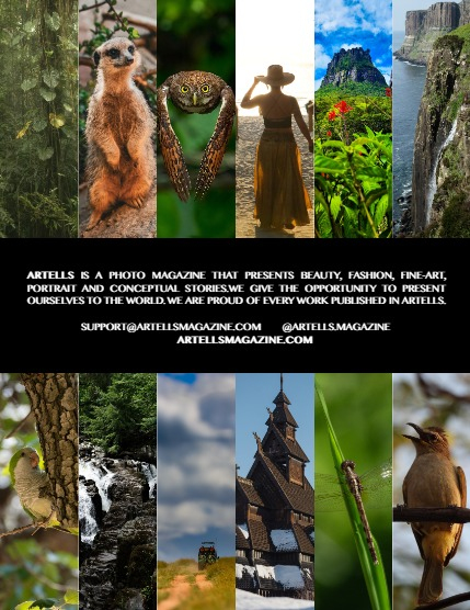 ARTELLS MAGAZINE - NATURE & TRAVELS MAY (Vol 3175), page 3