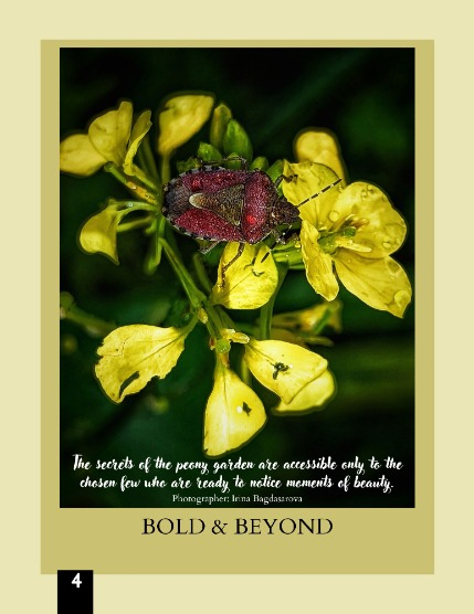 Bold & Beyond Nature (Issue 399 July 2025), page 4