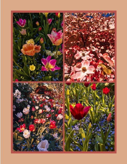 Bold & Beyond Nature (Issue 482 August 2025), page 3