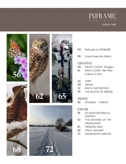 Issue 280 - Lifestyle, Travel and Nature Edition - February 2026, page 3