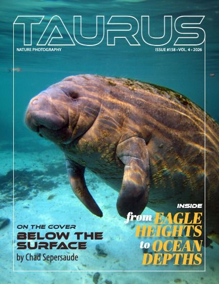 Таурус, журнал. Природа, выпуск 158 (Nature #158), page 1