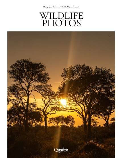 QUADRO MAGAZINE - NATURE & TRAVEL JUNE (Vol 1627), page 4