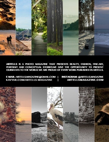 ARTELLS MAGAZINE - NATURE FEBRUARY (Vol 1009), page 3