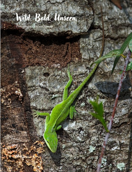 Bold & Beyond Nature (Issue 308 May 2025), page 4