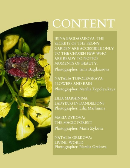 Bold & Beyond Nature (Issue 399 July 2025), page 2