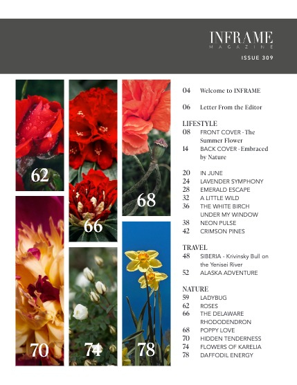 Issue 309 - Lifestyle and Nature Edition - July 2026, page 3