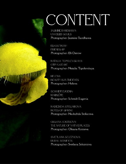 Bold & Beyond Nature (Issue 352 June 2025), page 2