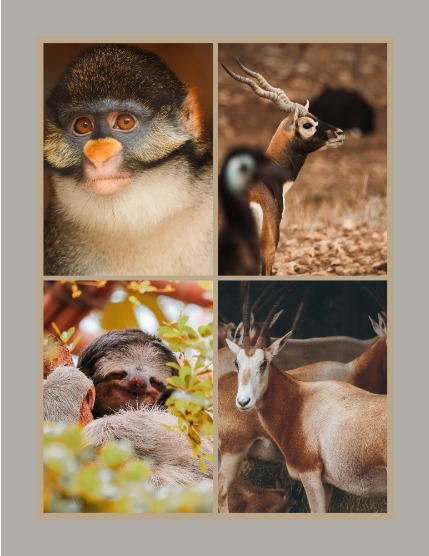 Bold & Beyond Nature (Issue 381 July 2025), page 3