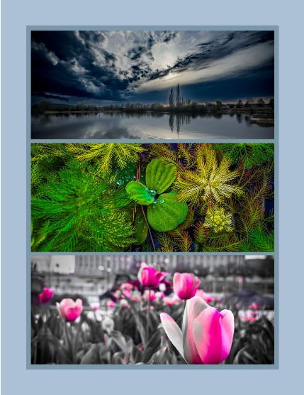Bold & Beyond Nature (Issue 405 July 2025), page 3