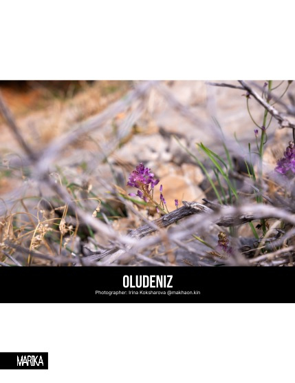 MARIKA MAGAZINE NATURE & TRAVELS (ISSUE 6117 - JANUARY), page 4