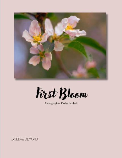 Bold & Beyond Nature (Issue 303 May 2025), page 4