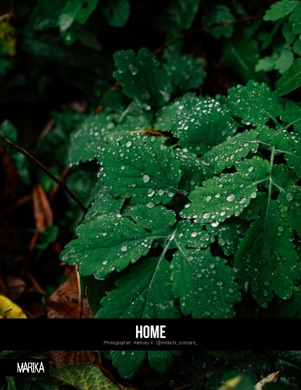 MARIKA MAGAZINE NATURE & TRAVELS (ISSUE 5677 - MAY), page 4