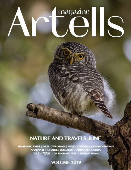 ARTELLS MAGAZINE - NATURE & TRAVEL JUNE (Vol 3279), page 1