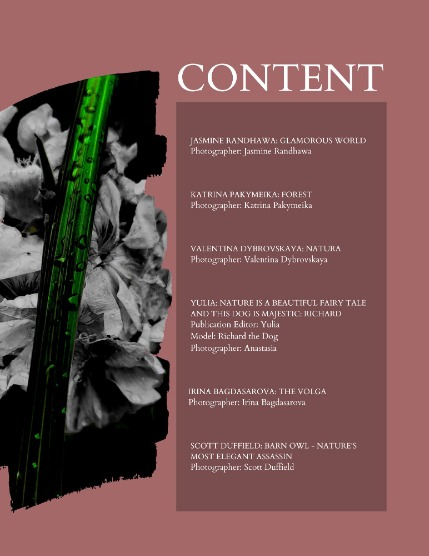 Bold & Beyond Nature (Issue 576 October 2025), page 2