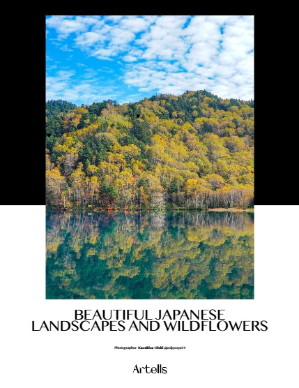 ARTELLS MAGAZINE - NATURE & TRAVELS OCTOBER (Vol 3626), page 4