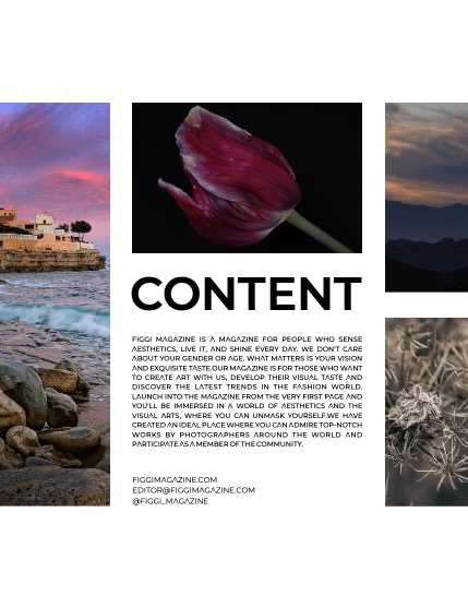 FIGGI MAGAZINE - NATURE & TRAVEL APRIL (Vol 1482), page 3