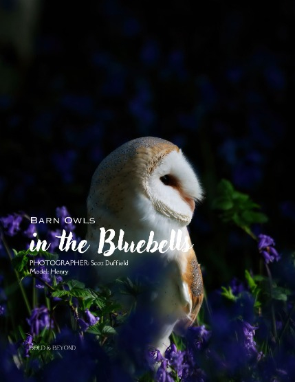 Bold & Beyond Nature (Issue 270 May 2025), page 4