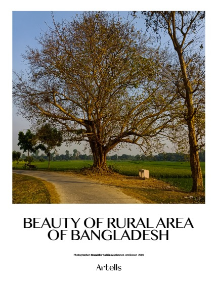 ARTELLS MAGAZINE - NATURE & TRAVELS MAY (Vol 3178), page 4