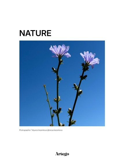 ARTEGO MAGAZINE - NATURE & TRAVELS FEBRUARY ISSUE 686, page 4