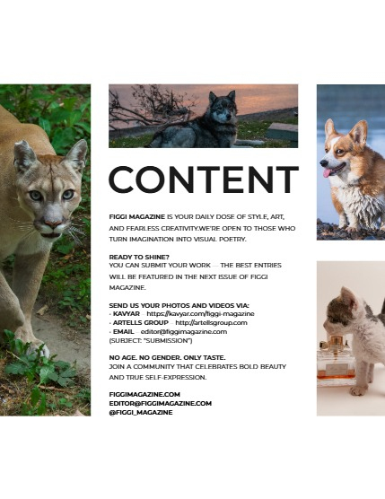 FIGGI MAGAZINE - LOVELY PETS OCTOBER (Vol 1812), page 3
