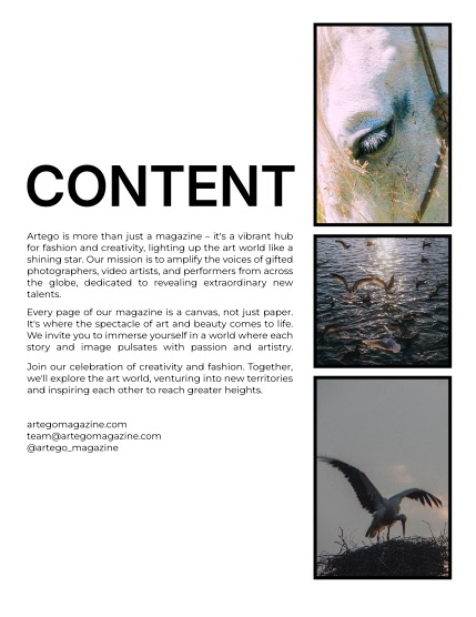 ARTEGO MAGAZINE - NATURE & TRAVELS MARCH ISSUE 1253, page 2
