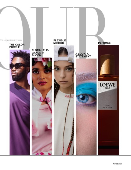 VIGOUR MAGAZINE OPEN THEME | June 2025 | Issue 04, page 3