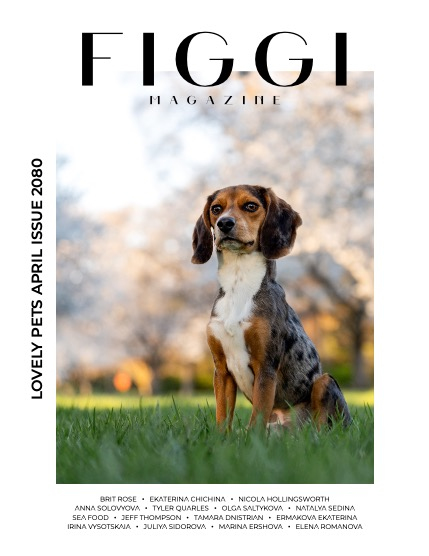 FIGGI MAGAZINE - LOVELY PETS APRIL (Vol 2080), page 1