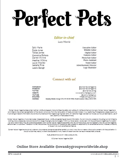 Perfect Pets Magazine - October 2024: The Halloween Special Edition, page 3