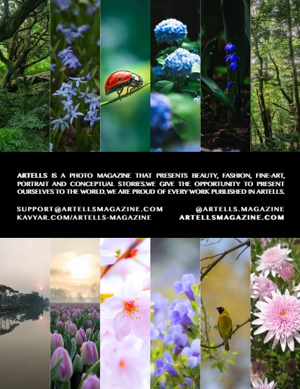 ARTELLS MAGAZINE - NATURE & TRAVELS MAY (Vol 3181), page 3