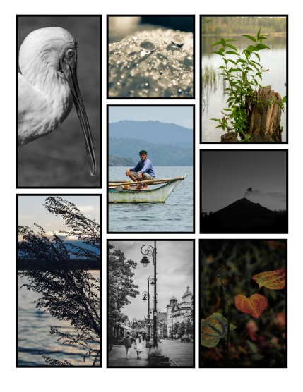 ARTEGO MAGAZINE - NATURE & TRAVELS NOVEMBER ISSUE 1112, page 3