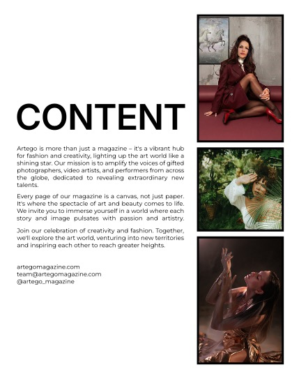 ARTEGO MAGAZINE -  PORTRAIT DECEMBER ISSUE 1147, page 2
