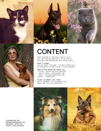 Фиджи, журнал. Милые питомцы, август, выпуск 2237 (FIGGI MAGAZINE - LOVELY PETS AUGUST (Vol 2237)), page 2