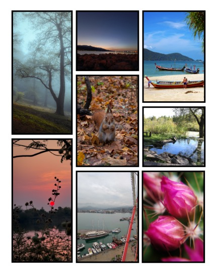 ARTEGO MAGAZINE - NATURE & TRAVELS MAY ISSUE 846, page 3
