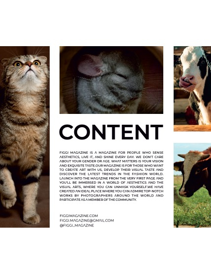 FIGGI MAGAZINE - LOVELY PETS NOVEMBER (Vol 1237), page 3