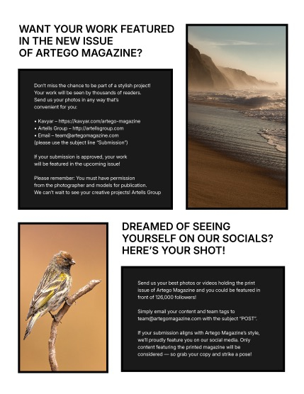 ARTEGO MAGAZINE - NATURE & TRAVELS MARCH ISSUE 1252, page 4