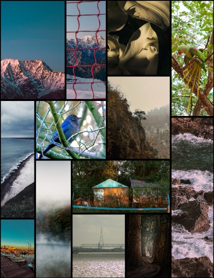 MARIKA MAGAZINE NATURE & TRAVELS (ISSUE 5526 - FEBRUARY), page 3