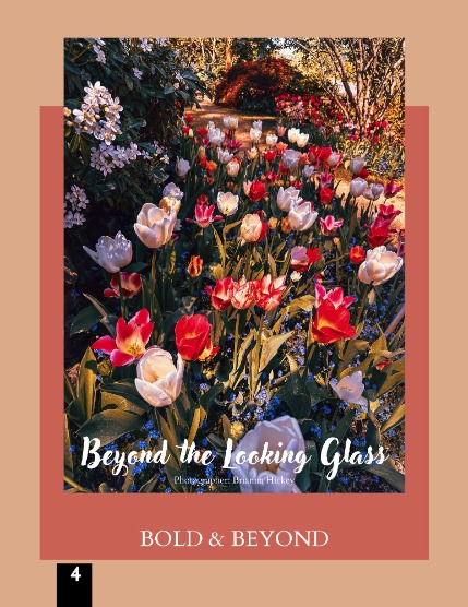 Bold & Beyond Nature (Issue 482 August 2025), page 4
