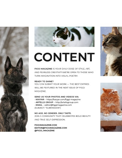 FIGGI MAGAZINE - LOVELY PETS FEBRUARY (Vol 1987), page 3