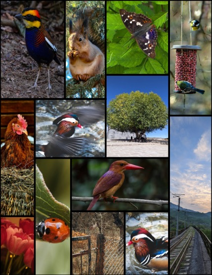 MARIKA MAGAZINE NATURE & TRAVELS (ISSUE 5623 - APRIL), page 3