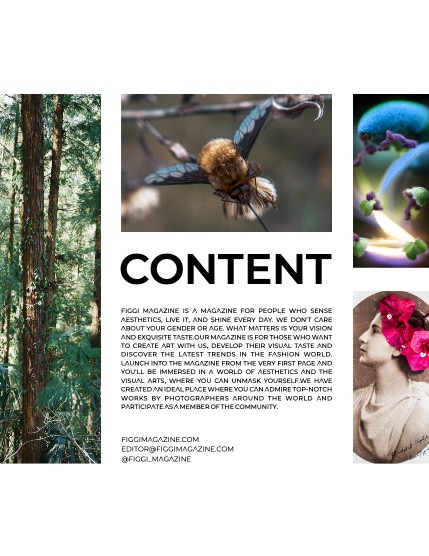 FIGGI MAGAZINE - FANTASY & AI APRIL (Vol 1496), page 3