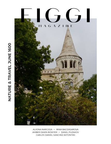 FIGGI MAGAZINE - NATURE & TRAVEL JUNE (Vol 1600), page 1