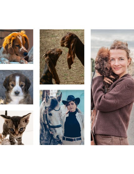 FIGGI MAGAZINE - LOVELY PETS OCTOBER (Vol 1812), page 2