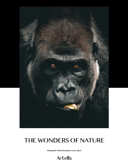 ARTELLS MAGAZINE - NATURE & TRAVEL JUNE (Vol 3280), page 4