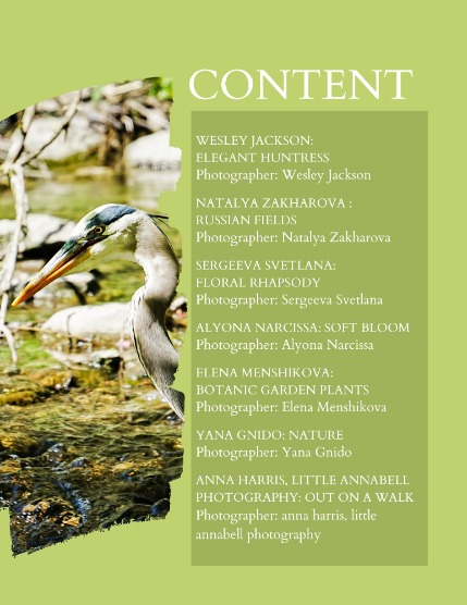 Bold & Beyond Nature (Issue 375 July 2025), page 2
